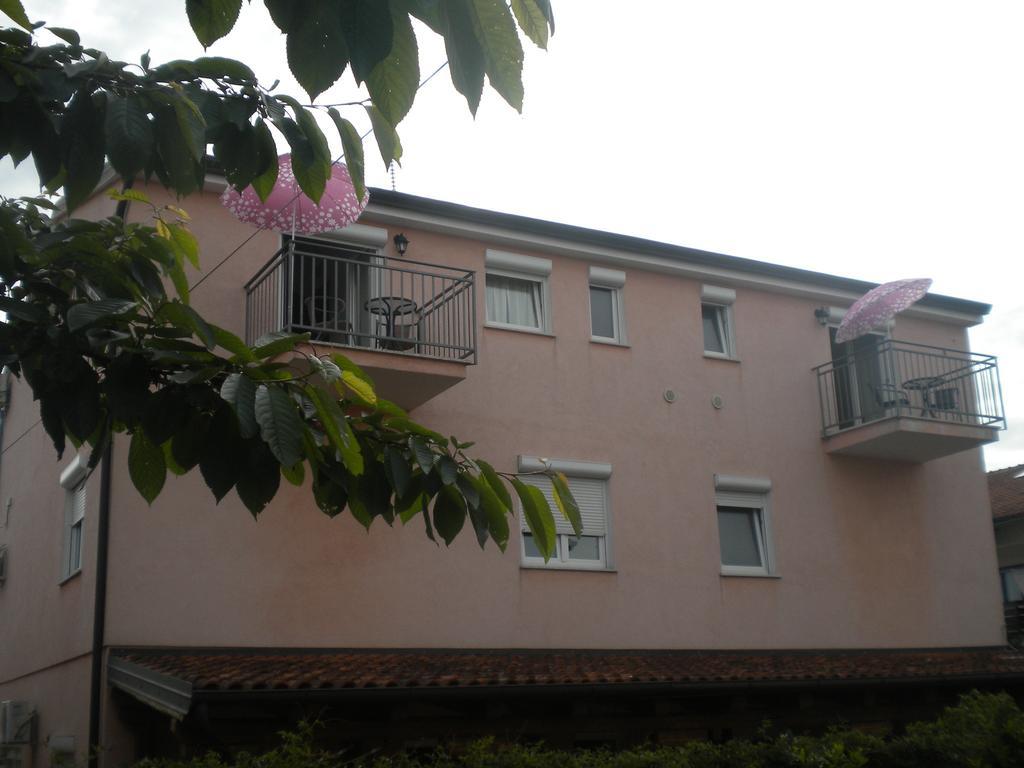 Miani Novigrad (Istria)