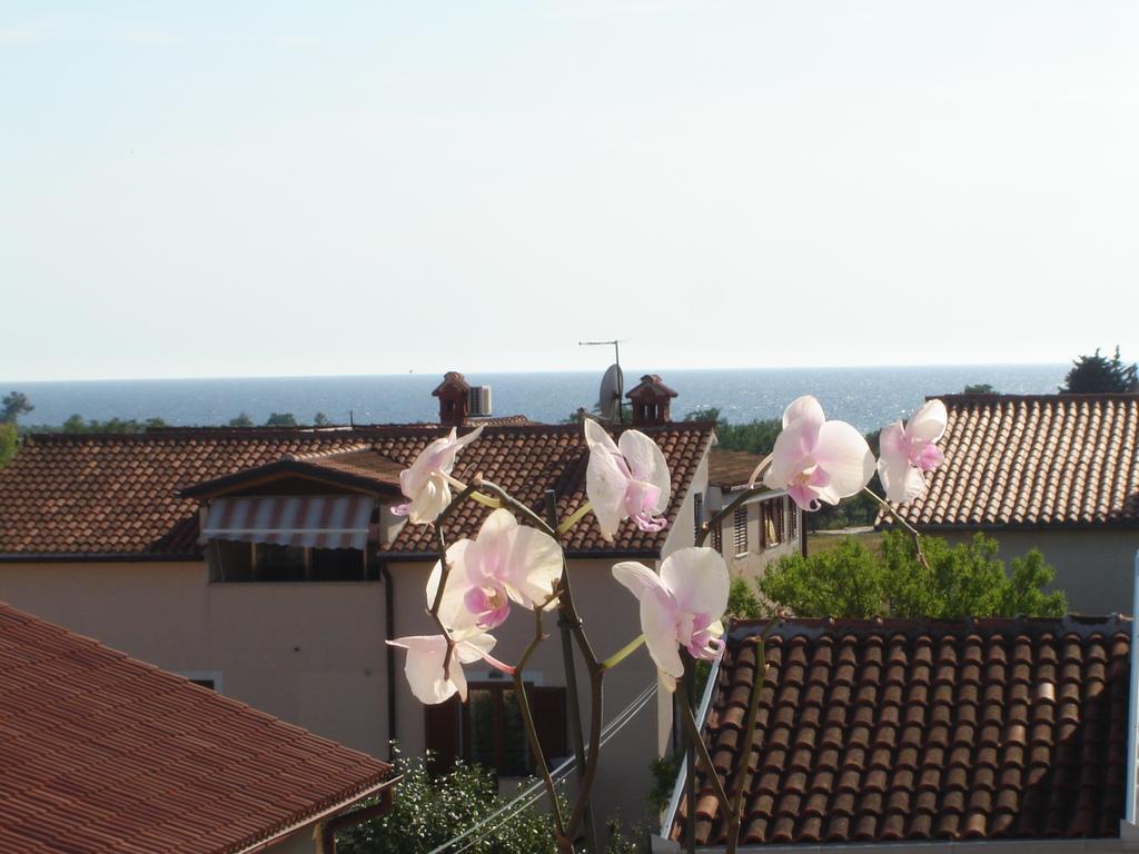 Apartment Miani